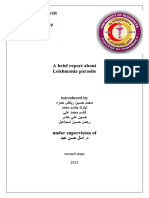Leishmania Parasite Report from Al-Qadisiyah University