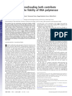 Selectivity and Proofreading Both Contribute Significantly To The Fidelity of RNA Polymerase III Transcription