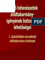 Tejelő Zöldtakarmánya