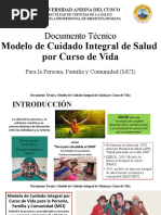Modelo de Cuidado Integral en Salud | PDF | Sistema de salud | Perú