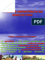 APRESENTAÇÃO 1.1 -  Origem e Importância da Agricultura - Copia