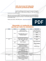 Cronograma - Induccion 2021 (4)