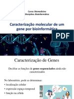 Aula 13 - Caracterização Molecular de Um Gene