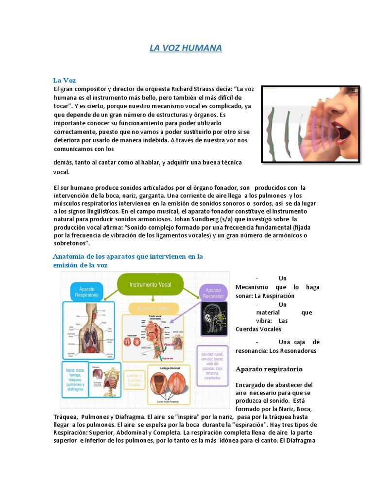 Uso y manejo de la voz humana | PDF | Sonido | Respiración