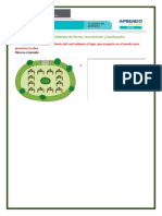 Ficha II Matematematica Marzo