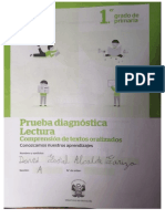 2 PRUEBA DIAGNOSTICA LECTURA