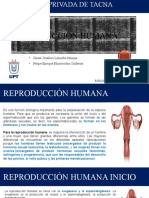 SISTEMA REPRODUCTOR HUMANO - BIOLOGIA GENERAL (1)