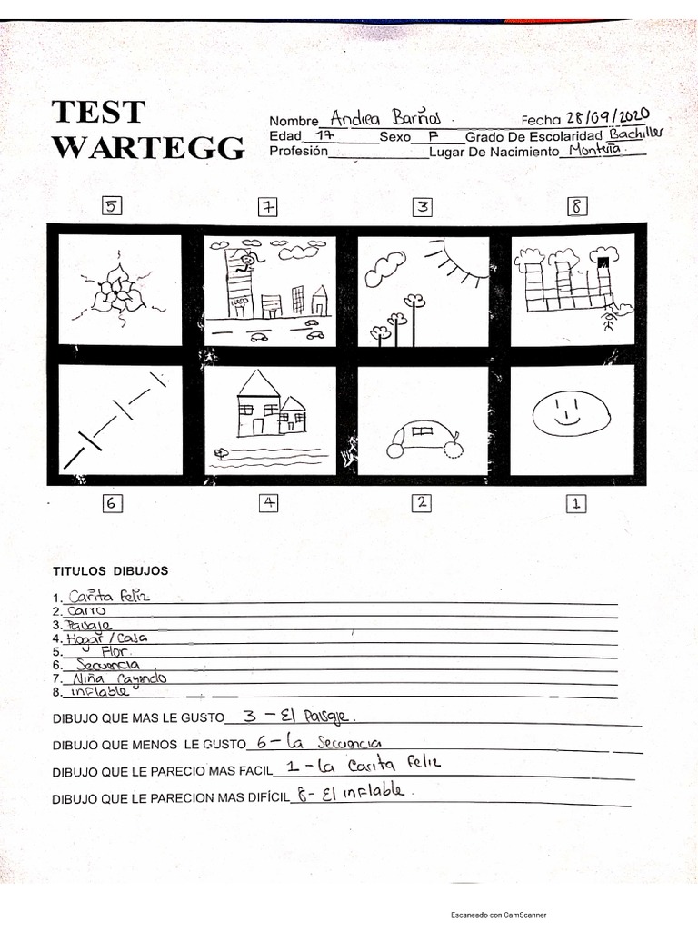 Ejemplo Protocolo Wartegg | PDF