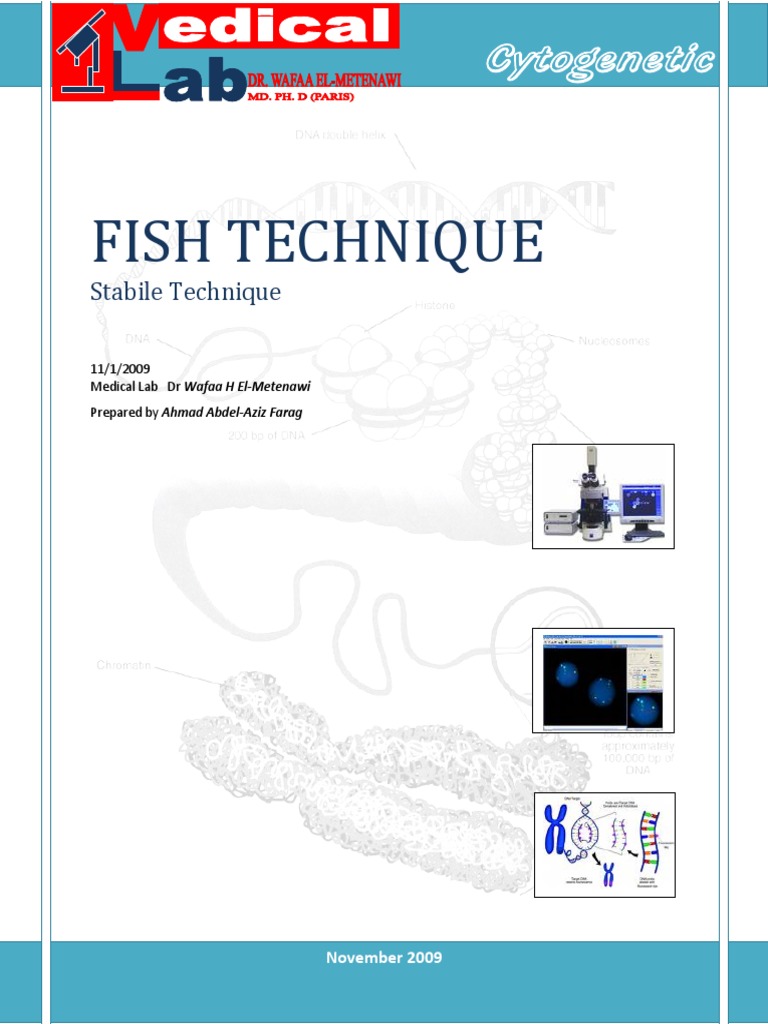 Fish Technique PDF Biology Chemistry