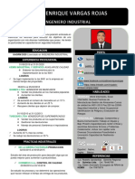 CV Practicante Seguridad Industrial