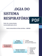 Fisiologia do Sistema Respiratório