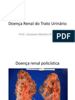 Doenc3a7a Renal Do Trato Urinc3a1rio