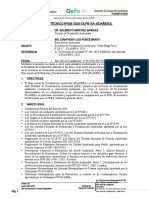 Informe Técnico N° 008 - 2020 (PLANEFA)
