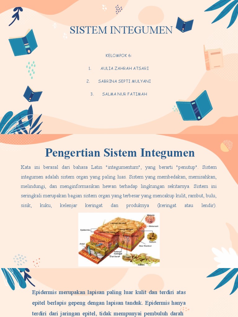 Pengertian dan Struktur Sistem Integumen | PDF