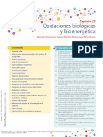 Lectura Cadena y Fosforilación Bioquímica de Laguna y Piña (8a. Ed.) - (PG 416 - 431)