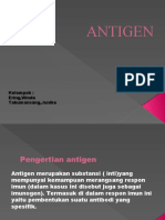 Antigen - Kelompok