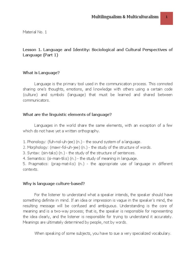 Language, Identity, and Communication | PDF | Multilingualism | Word