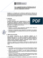 Documento Técnico_ _Lineamiento Para El Desarrollo de Las Actividades de Los Internos de Ciencias de La Salud 2021 en El Marco de La Emergencia Sanitaria