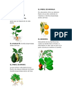 5 Plantas Angiospermas