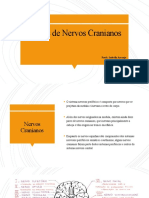 Lesões Nervos Cranianos TCE