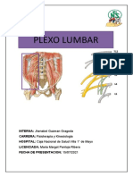 Plexo Lumbar 1