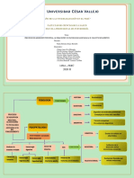 Procesos de absorción intestinal y sus alteraciones