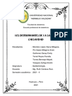 Determinantes de La Salud y Causalidad.