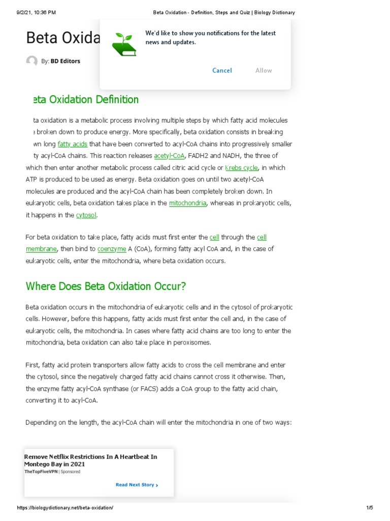 Beta Oxidation (Catabolysis of Fatty Acids) Definition, Steps and Quiz Biology Dictionary