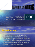 Sistemarespiratoriodelosmamiferos 091120064453 Phpapp01