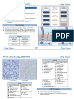 MLS 044 - Clinical Bacteriology (LABORATORY) Staining Techniques