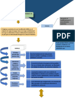 Infografiaa Derecho