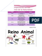 Cuadros Comparativos de Los 5 Reinos de La Naturaleza