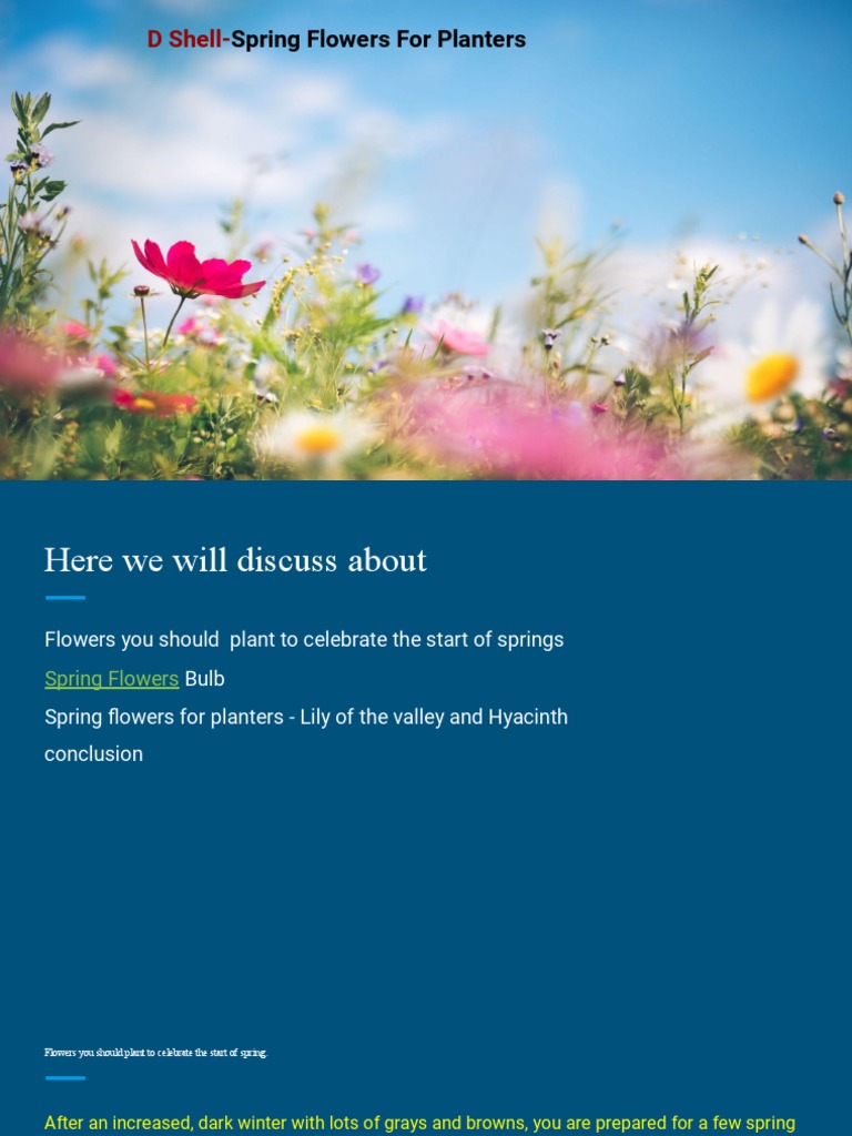 D Shell Springs Flowers For Planters | PDF | Organisms | Landscape