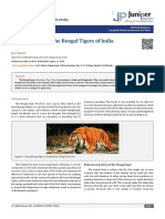 The Bengal Tigers of India: Editorial