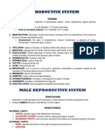 Reproductive System