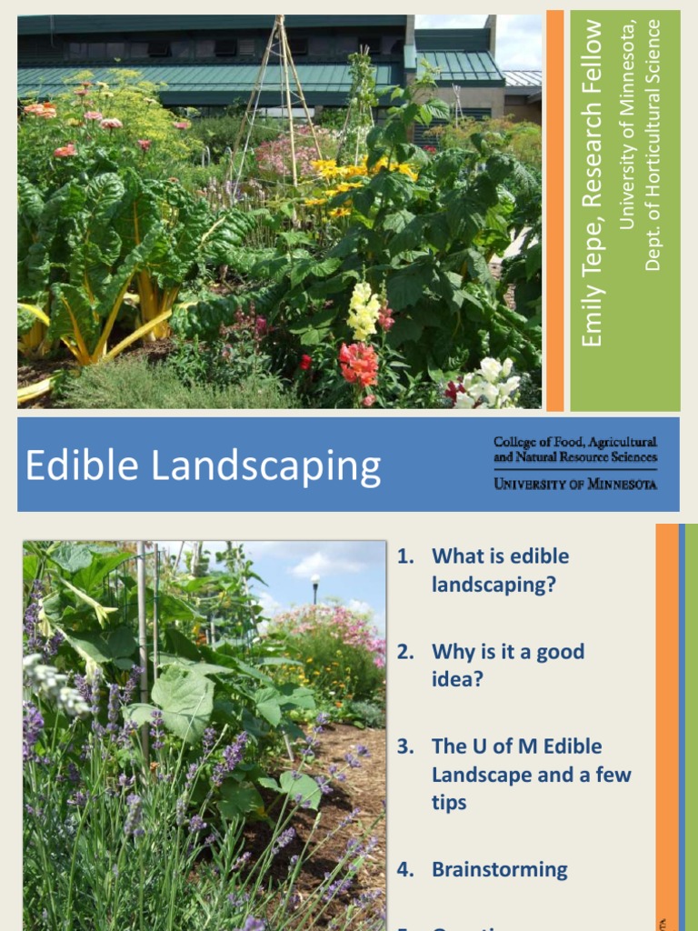 Edible Landscaping Guide and Tips | PDF | Gardens | Plants