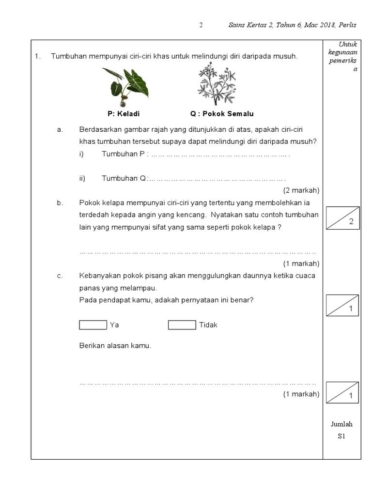 Set 7 K2 | PDF