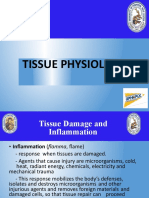 4 Tissue-Physiology