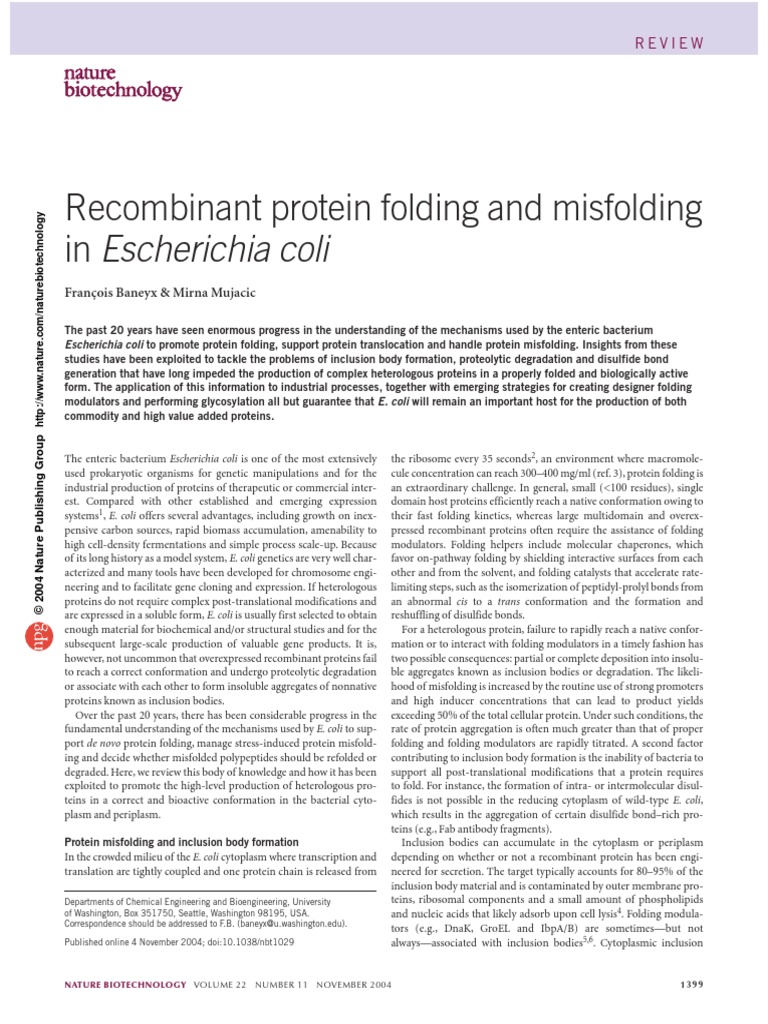 Protein Folding and Misfolding in Escherichia Coli PDF