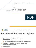 Central Nervous System