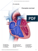 5Cómo funciona el corazón _ Defectos cardiacos de nacimiento _ CDC