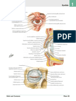 Atlas of Human Anatomy - Including Student Consult Interactive Ancillaries and Guides