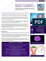 Fecundación, Embarazo y Desarrollo