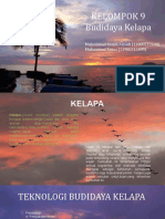 Kelompok 9 - Kelapa