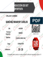Chucas Cargo Sac - 44133579 Carlos Sanchez Manayay