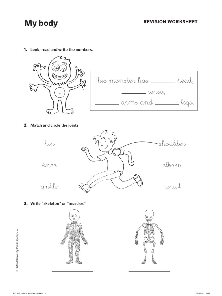GBVPDP NS U1 Revision Worksheet | PDF | Joints | Limbs (Anatomy)