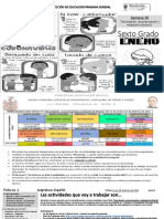 Fichas de Sexto Grado Plan de Proyecto 7 Relato Historico Yermo y Parres Del 25 de Enero Al 5 de Febrero de 2021