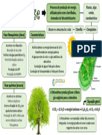 Mapa Mental Fotossintese