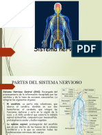 Sistema Nervioso Claudia Durango