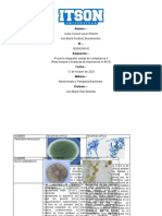 Atlas Micologia Bacteriologia